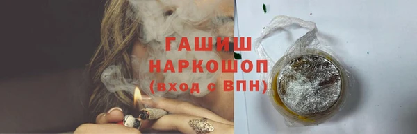 стаф Балахна