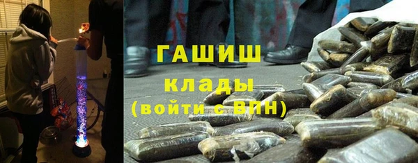 стаф Балахна